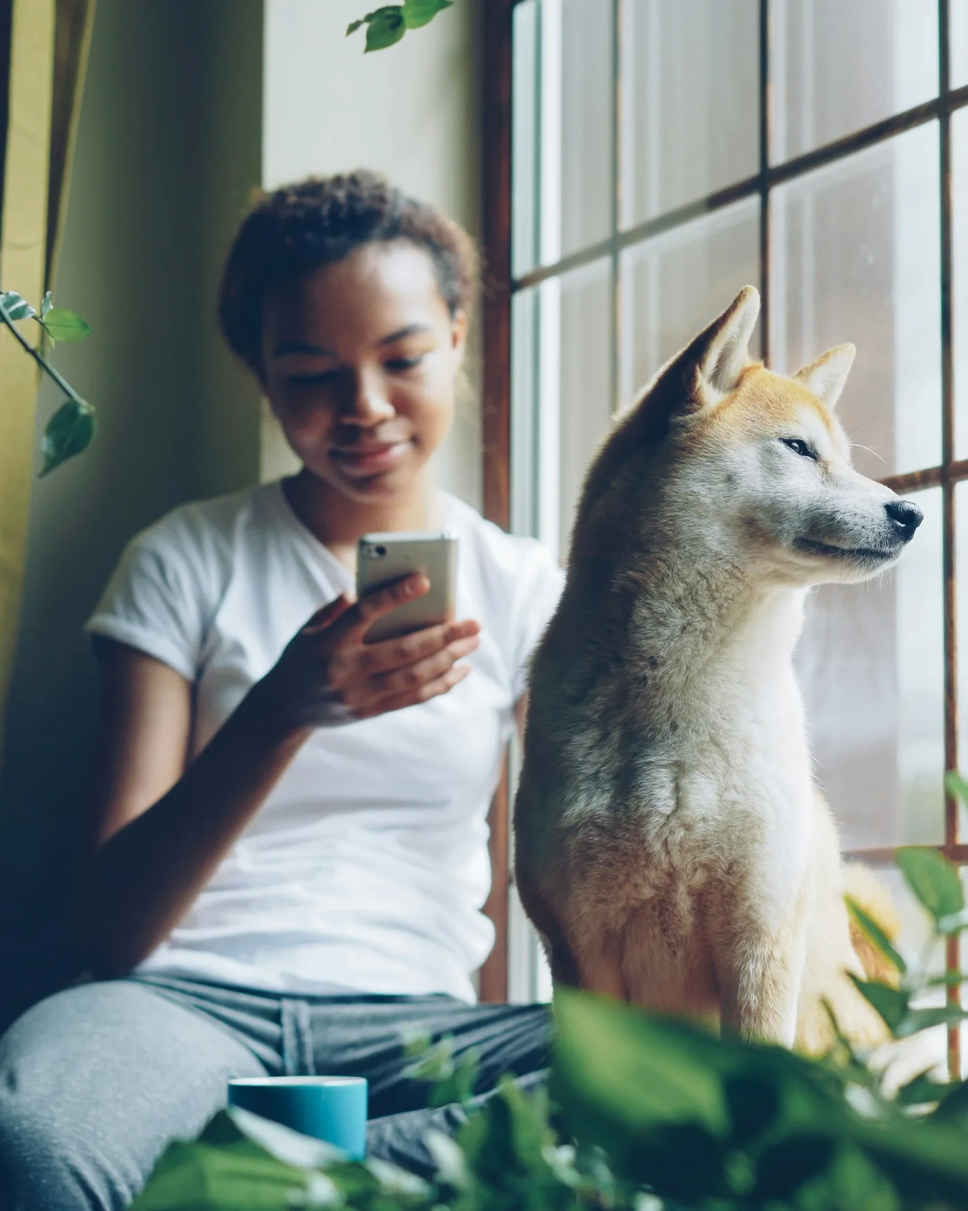 Une jeune femme consulte son téléphone, assise près de la fenêtre à côté de son shiba